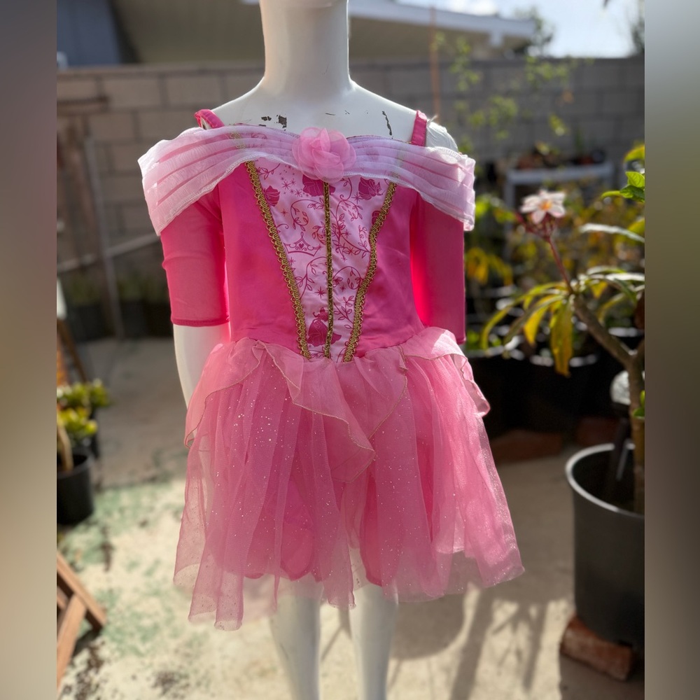 Pink Princess Aurora Kids Costume